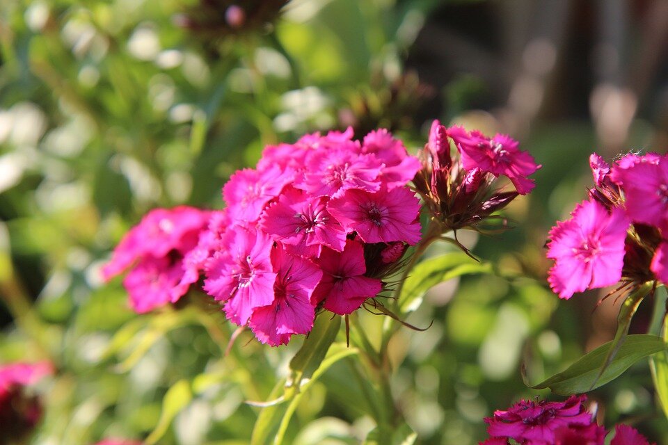 Это и остальные фото в этой статье взяты из открытых источников. 