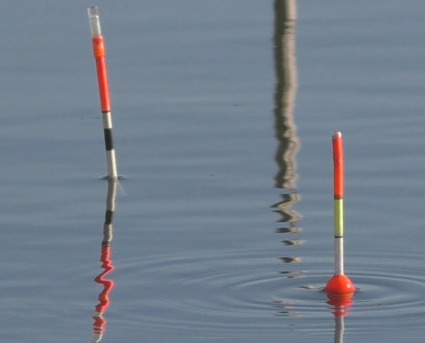 Фото из интернета.