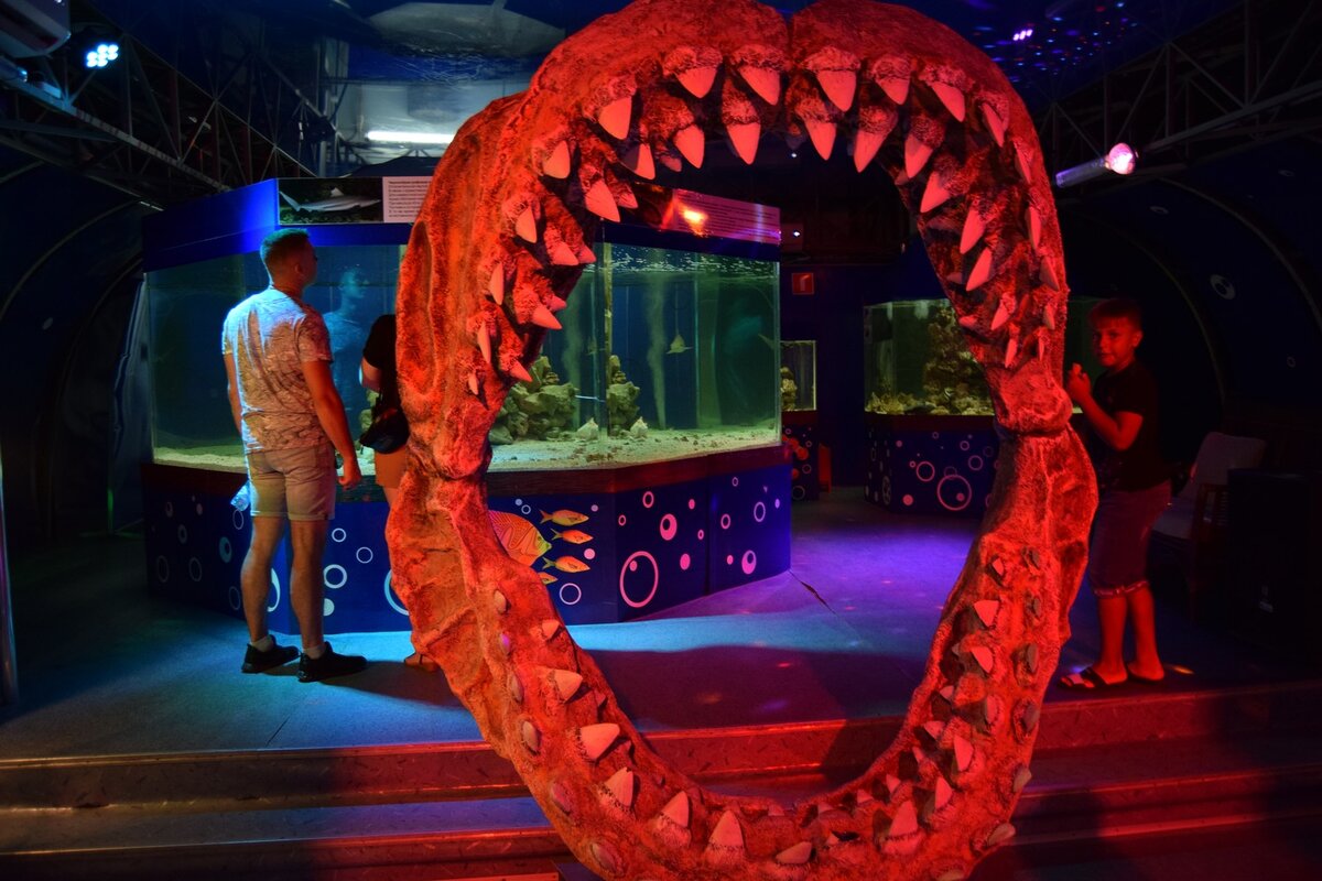 Слепок огромной челюсти ископаемой акулы «Мегаладон» в натуральную величину, надо сказать пространства в пасти для всей нашей группы хватило бы и еще осталось для гида.