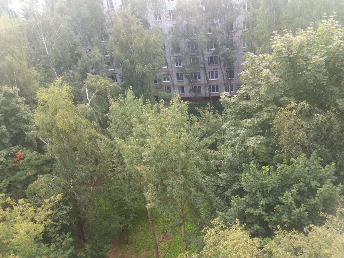 обычный двор