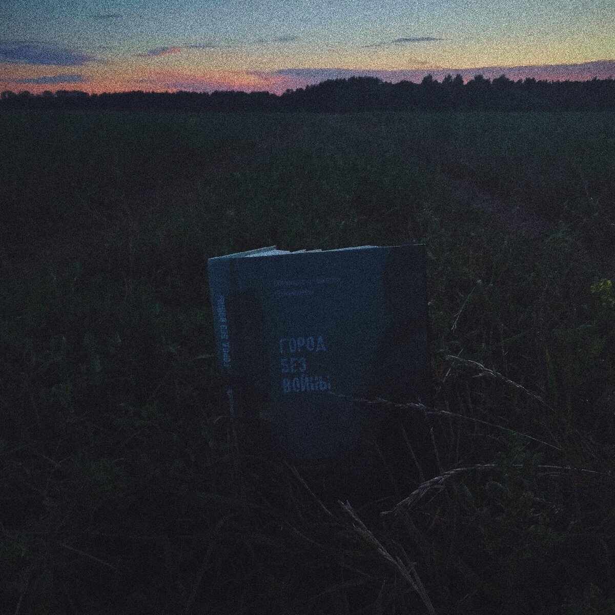 Фотографии Юлии Покровской