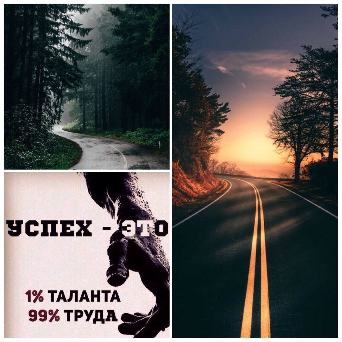 Яндекс картинки 