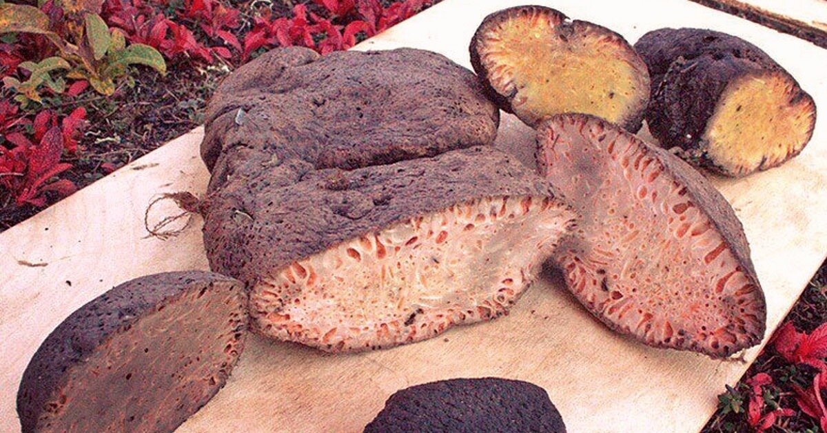 Копальхен (Фото взято с просторов интернета)