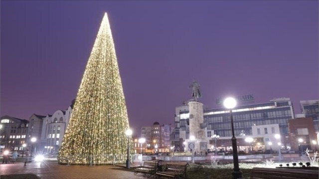 Елка в Липецке (24 м)