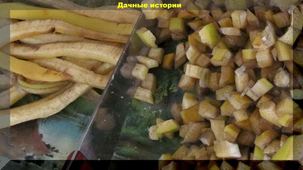 https://vk.com/photo-159774511_457243218
