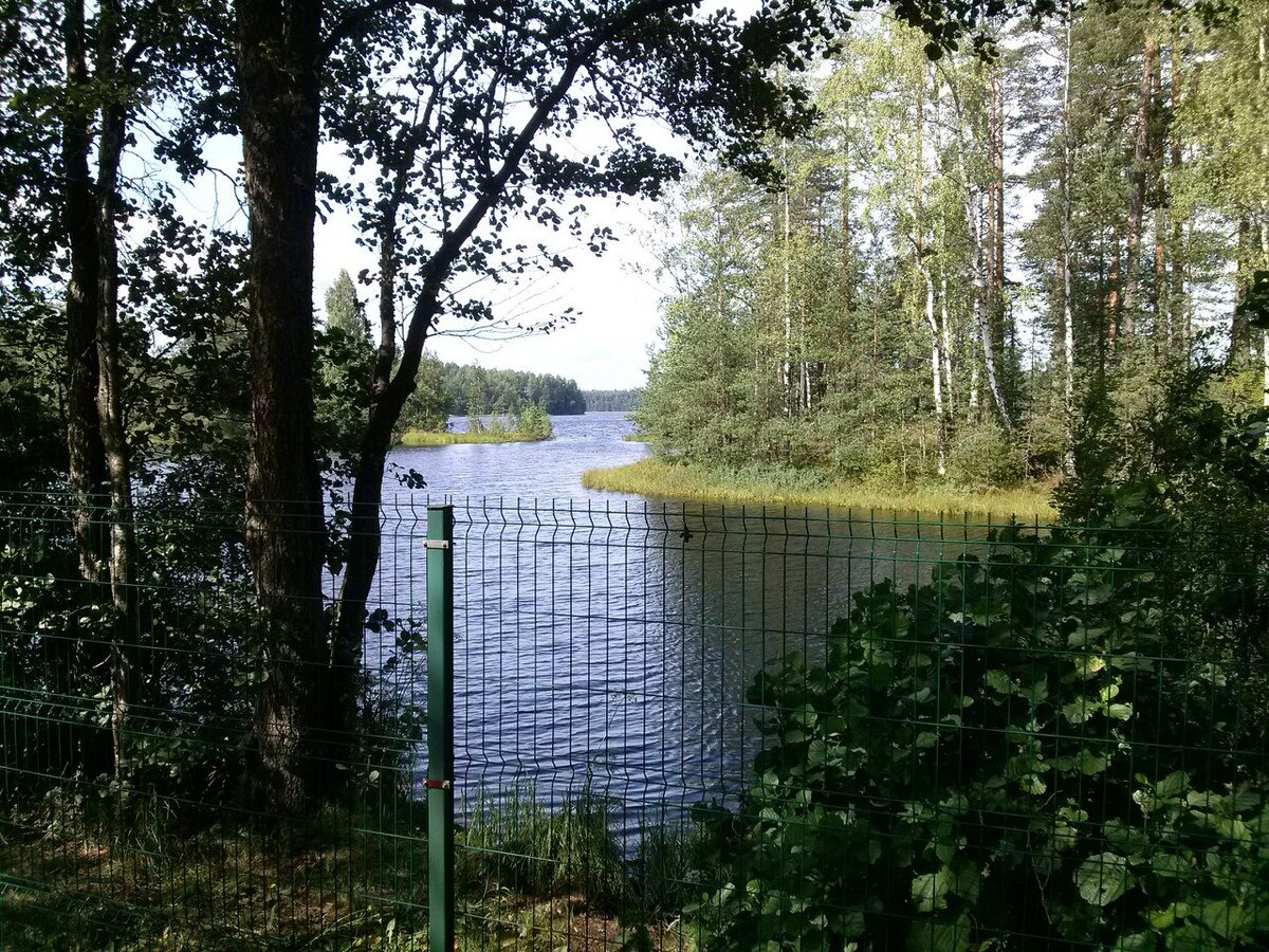 Заборы в озерах озеры. Озеро медное Всеволожский район. Забор у озера. Забор у реки. Забор на берегу озера.
