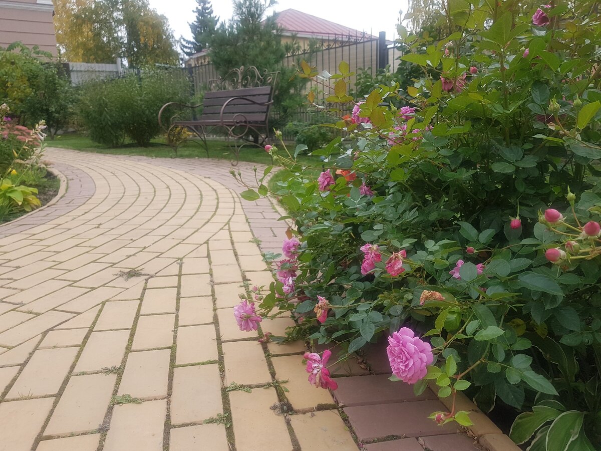 Фото автора