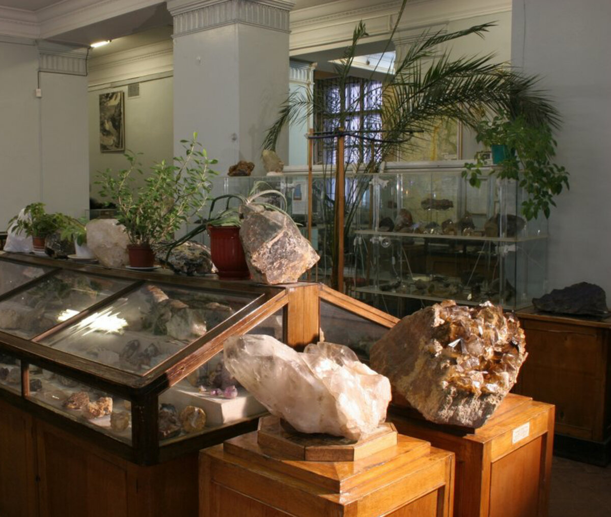 Яндекс фото. Картинки 