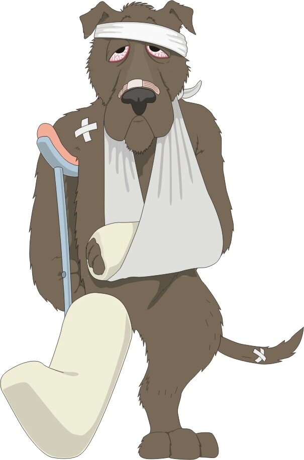 Фото из открытого источника