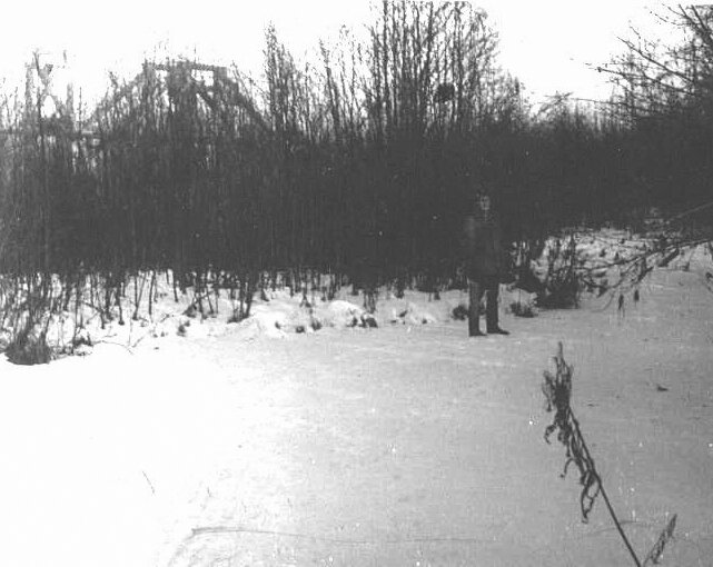 ЗА МОЕЙ СПИНОЙ, В ЗАРОСЛЯХ КАРКАС СТАРОЙ ДРАГИ.