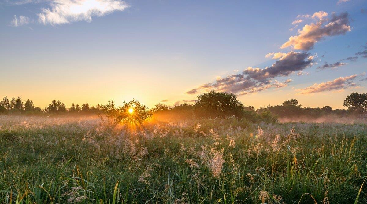 Фото — stihi.ru