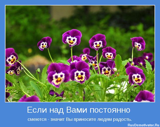 Вы не можете быть никем иным, а лишь тем, кто вы есть. Расслабьтесь! Существованию вы нужны именно таким. 
Однажды царь пришёл в сад и увидел вянущие и гибнущие деревья, кусты и цветы. Дуб сказал, что он умирает потому, что не может быть таким высоким, как сосна. Обратившись к сосне, царь нашёл её опадающей потому, что она не может давать виноград подобно виноградной лозе. А лоза умирала потому, что она не может цвести, словно роза.

Вскоре он нашёл одно растение, радующее сердце, цветущее и свежее. После расспросов он получил такой ответ:

— Я считаю это само собой разумеющимся, ведь когда ты посадил меня, ты хотел получить радость. Если бы ты хотел дуб, виноград или розу — ты посадил бы их. Поэтому я думаю, что не могу быть ничем другим, кроме того, что я есть. И я стараюсь развивать свои лучшие качества.

Ты здесь, потому что существование нуждалось в тебе таком, какой ты есть! В ином случае кто-то другой был бы здесь.

Ты — воплощение чего-то особенного, существенного, чего-то очень важного.