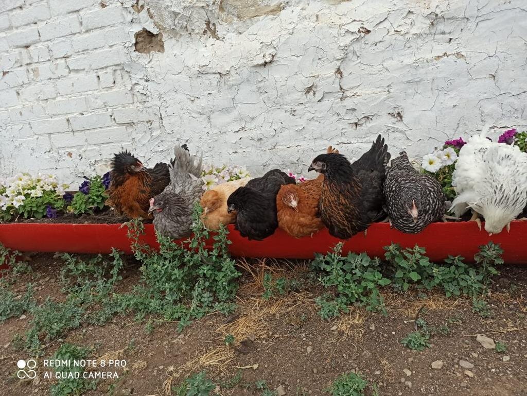 фото из личного архива