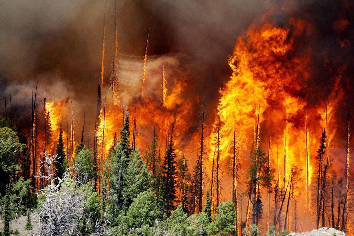  Каждое лето на территории Сибири горят лесные пожары, которые уничтожают в огне тысячи квадратных километров жизненно необходимой для всей планеты тайги.