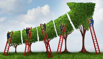 Важно участие и полная отдача каждого