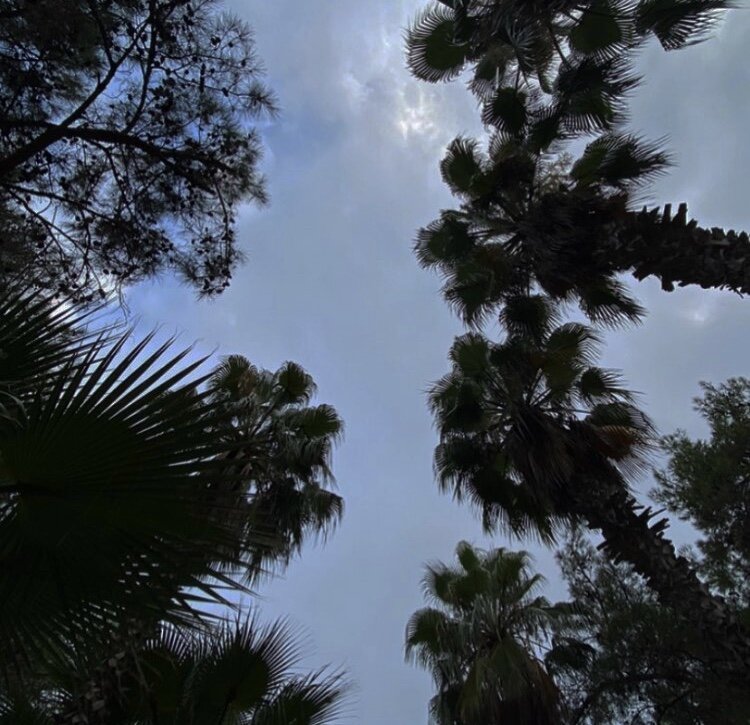 instagram: black_chock