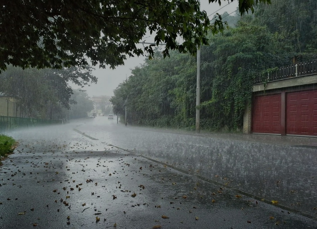 Люблю в дождливые дни пить чай и просто лежать на диване