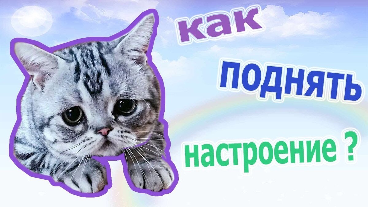 Улучшить настроение