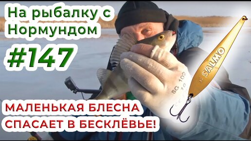 Маленькая БЛЕСНА СПАСАЕТ в бесклёвье / На рыбалку с Нормундом #147