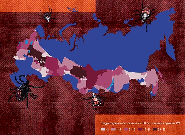 Клещевой боррелиоз зарегистрирован в 73 субъектах РФ. Риск заболеть наиболее высок в Прикамье, Предуралье, на Среднем Урале и юге Западной Сибири. Данные 1997–2010 гг. По: (Медико-географический атлас России «Природноочаговые болезни», 2015, с изм.)
