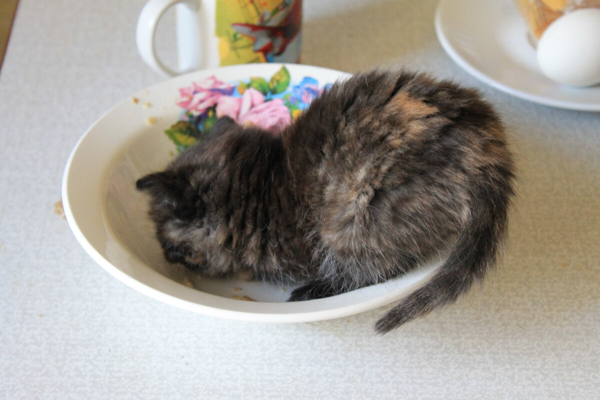 Вот так мы едим) Фото автора.