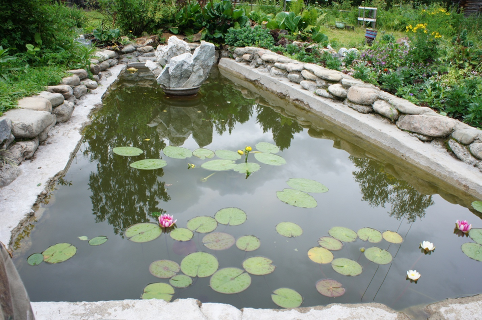 Наш бассейн