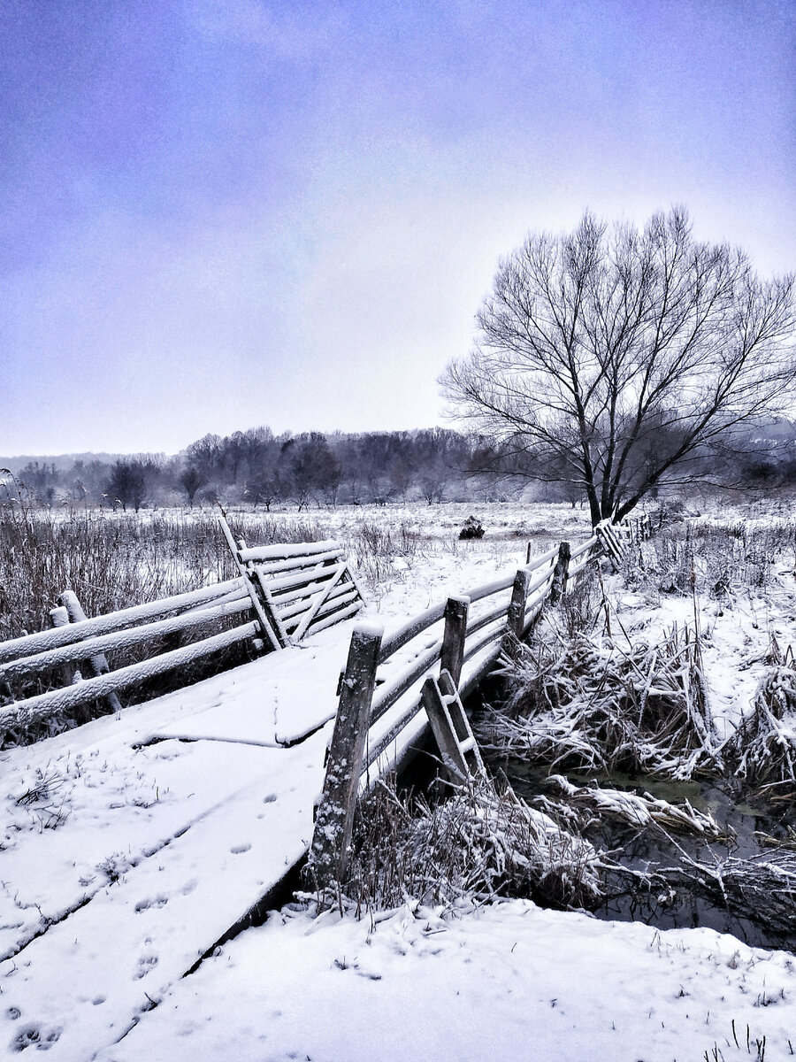 Личное фото