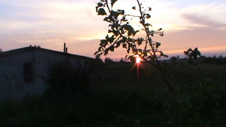 Личное фото.