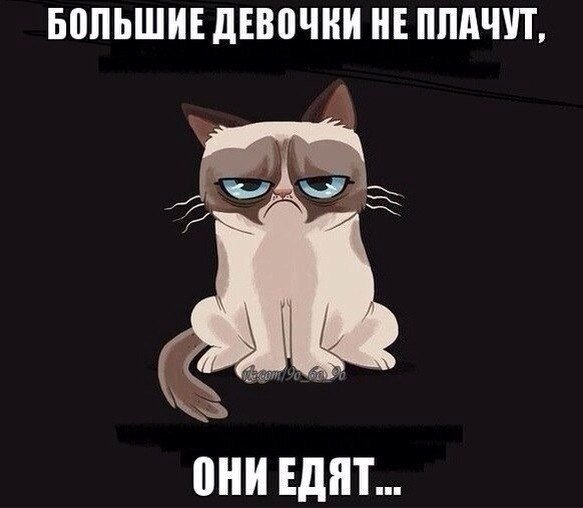 фото из открытых источников интернет