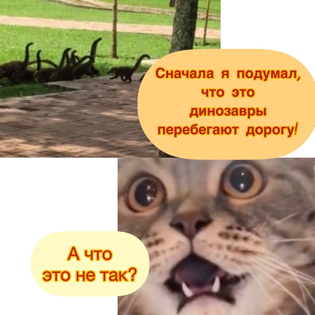 Посмеялся сам - поделись с другом!!!