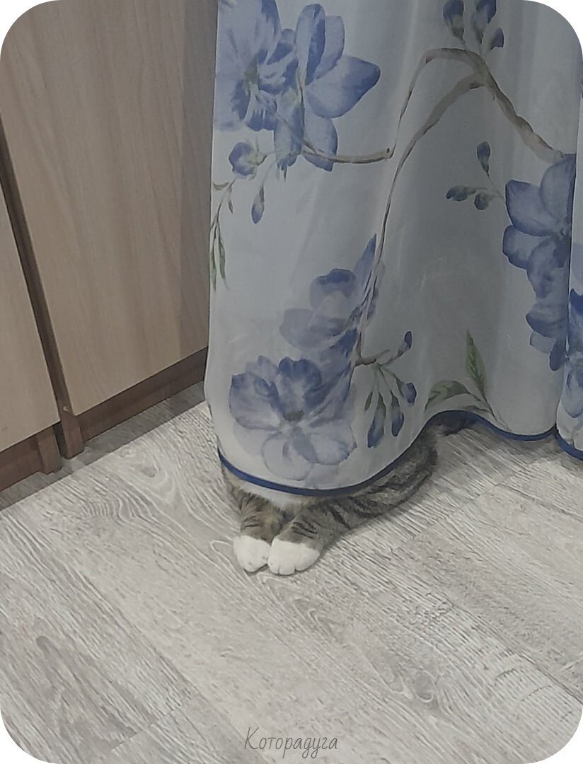 Источник: pinterest.com