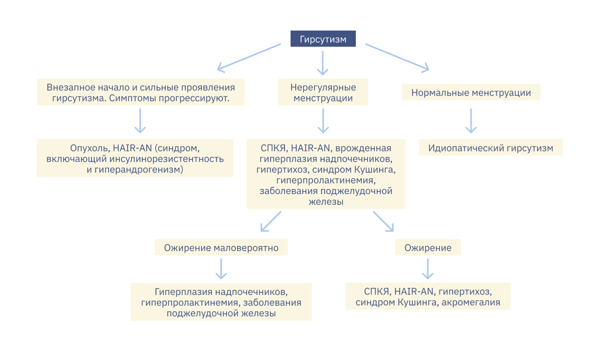 Источник: Wiley. The clinical evaluation of hirsutism. clck.ru/34nG26 