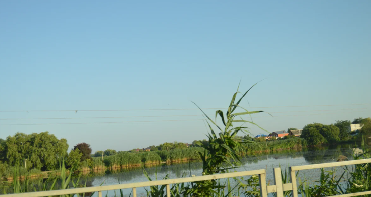 Фото автора. Лето 2023.  Это не озеро, это река.