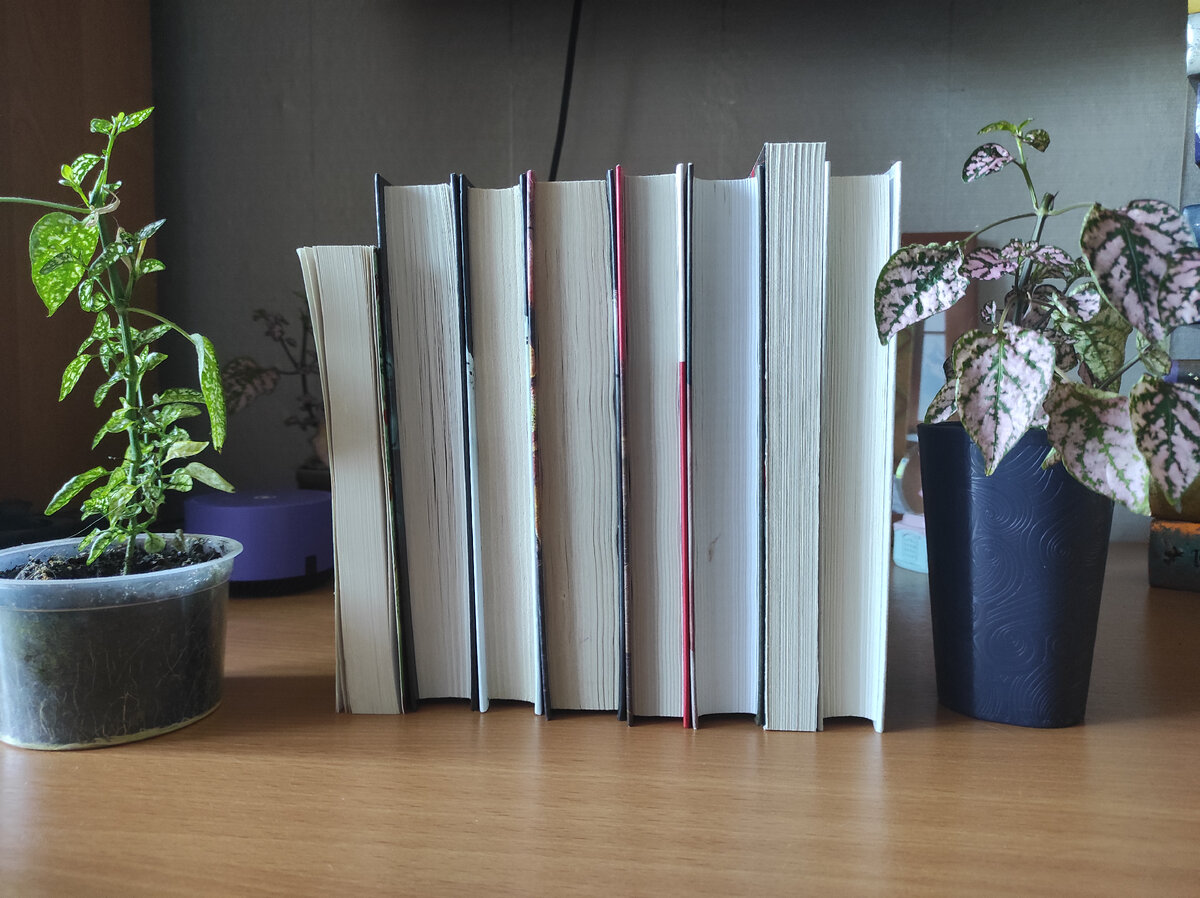 Личный архив