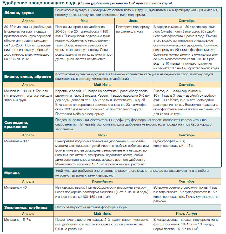 На месяц садовом. Схема подкормки плодовых деревьев. Схема удобрения плодовых деревьев. Таблица удобрений для растений в саду. Календарь внесения удобрений для плодовых деревьев таблица.