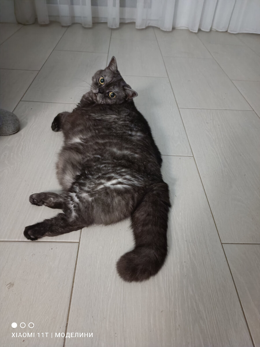 Наша скучалка🤣