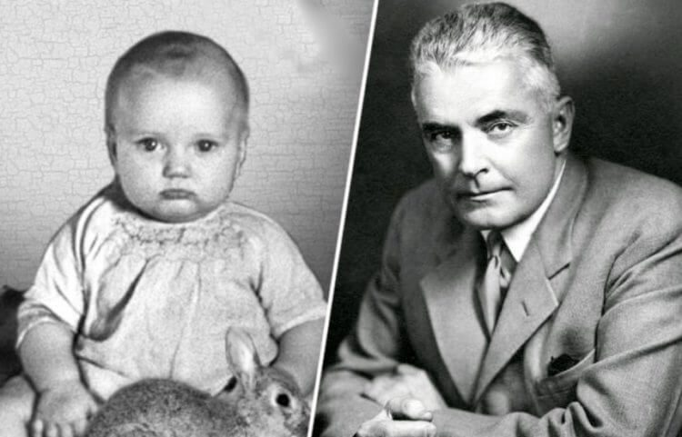 Фото из открытых источников