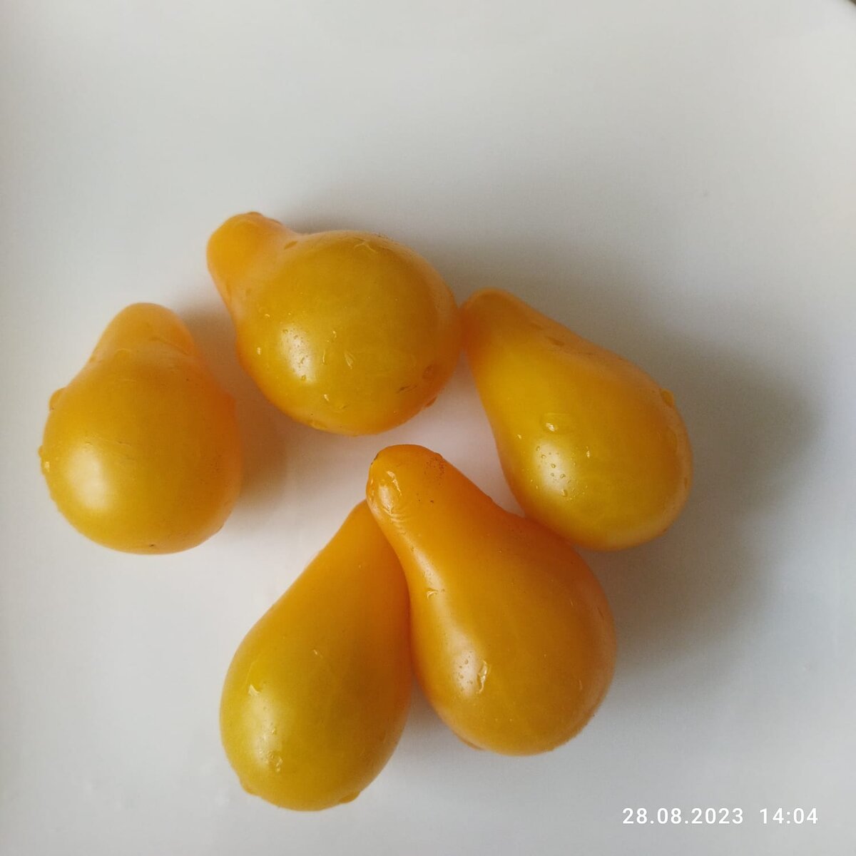 -2-2