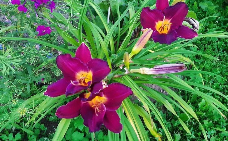    Молодое бабье лето пришло к россиянам в сентябре 2023