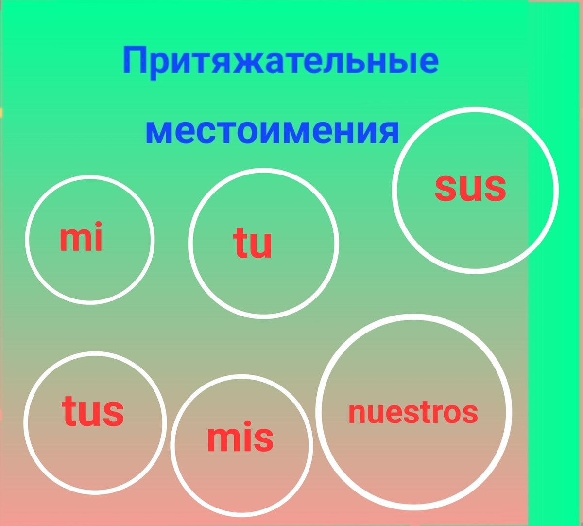 33. ПРИТЯЖАТЕЛЬНЫЕ МЕСТОИМЕНИЯ. ПРАКТИКА ПЕРЕВОДА НА ИСПАНСКИЙ | Здесь учат испанский  язык с нуля | Дзен