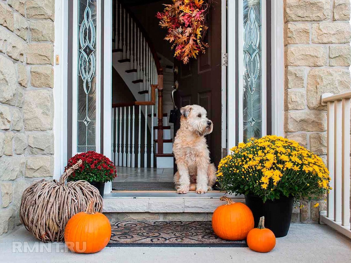   Фото realsimple.com