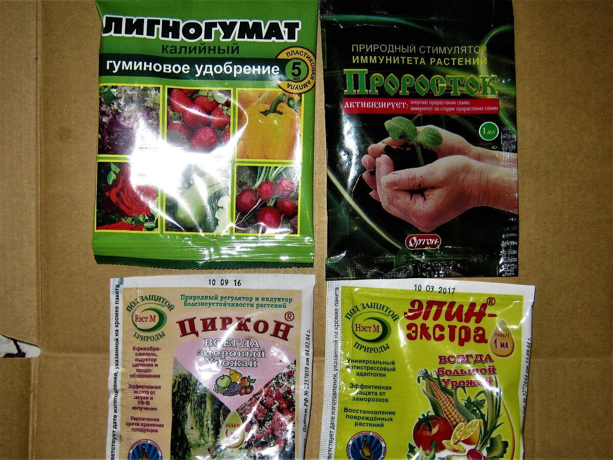 Для того, чтобы семена прострелов быстрее прорастали, я их замачиваю согласно инструкции в таких растворах. Семена раскладываю по сортам по  пластиковым стаканчикам ёмкостью 0,200 мл. Наливаю совсем немного приготовленного раствора стимулятора. На всех видах стимуляторов есть инструкция по применению и указано время, на которое нужно замочить семена.  Прошло определённое время. Сливаю раствор из стаканчиков.  Семена убираю на салфетку  чтобы в неё впиталась лишняя вода.    Можно семена  высевать и без замачивания. При этом они немного позже всходят.В ёмкости насыпать грунт, плотно прижать. Семена равномерно распределить по ёмкости, заглубляя в грунт на 1-3 мм. Лишь бы они хорошо держались.  Нельзя семена просто разбросать по поверхности и засыпать грунтом. Они не взойдут. После этого опрыскать из распылителя. Не поливать ! Ёмкости с посевами ставлю на солнечное окно.  При опрыскивании семянки начинают вращаться и могут вытащить из грунта рядом сидящие семена. Поэтому при посеве следует соблюдать дистанцию между семенами и следить,чтобы все они были в грунте. Семена разные сорта всходят не равномерно. Примерно в течении двух недель прострелы всходят и я их рассаживаю по стаканчикам каждый день.   В предыдущей статье я написала подробно о посеве семян .