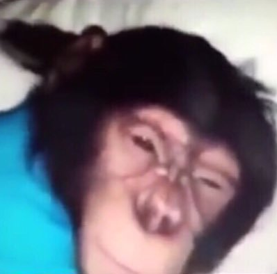 Изображение с сайта Яндекс картинки