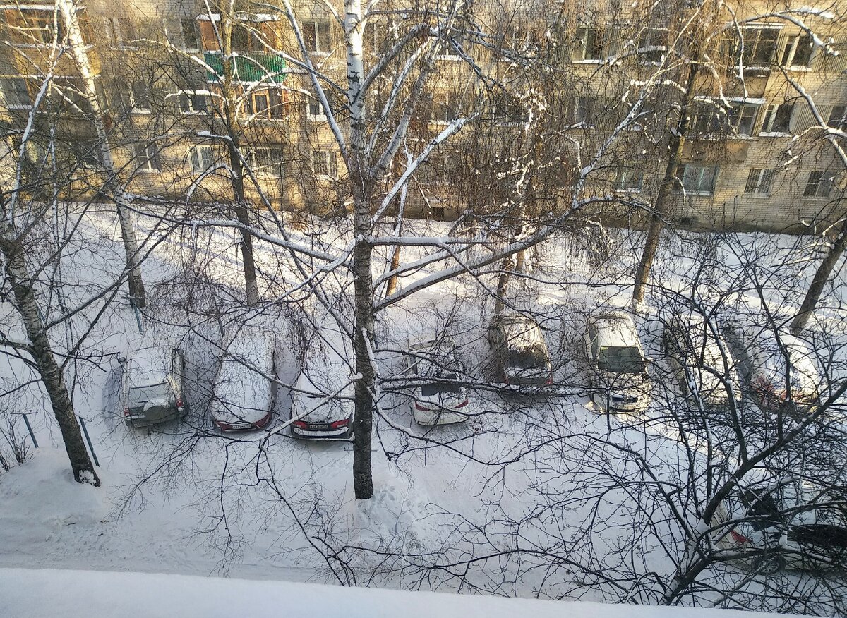 Снег выпал - фото автора