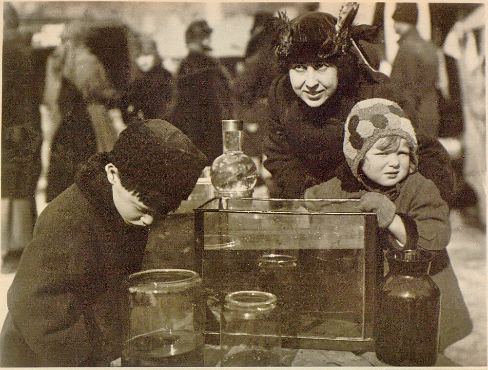 Гуля в фильме "Каштанка".