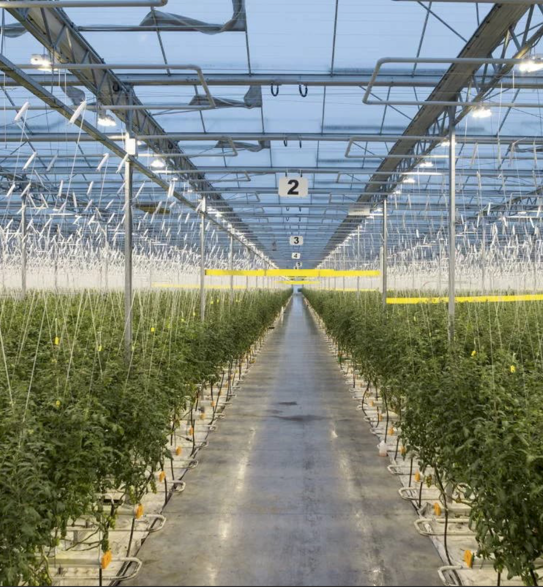 Из открытых источников