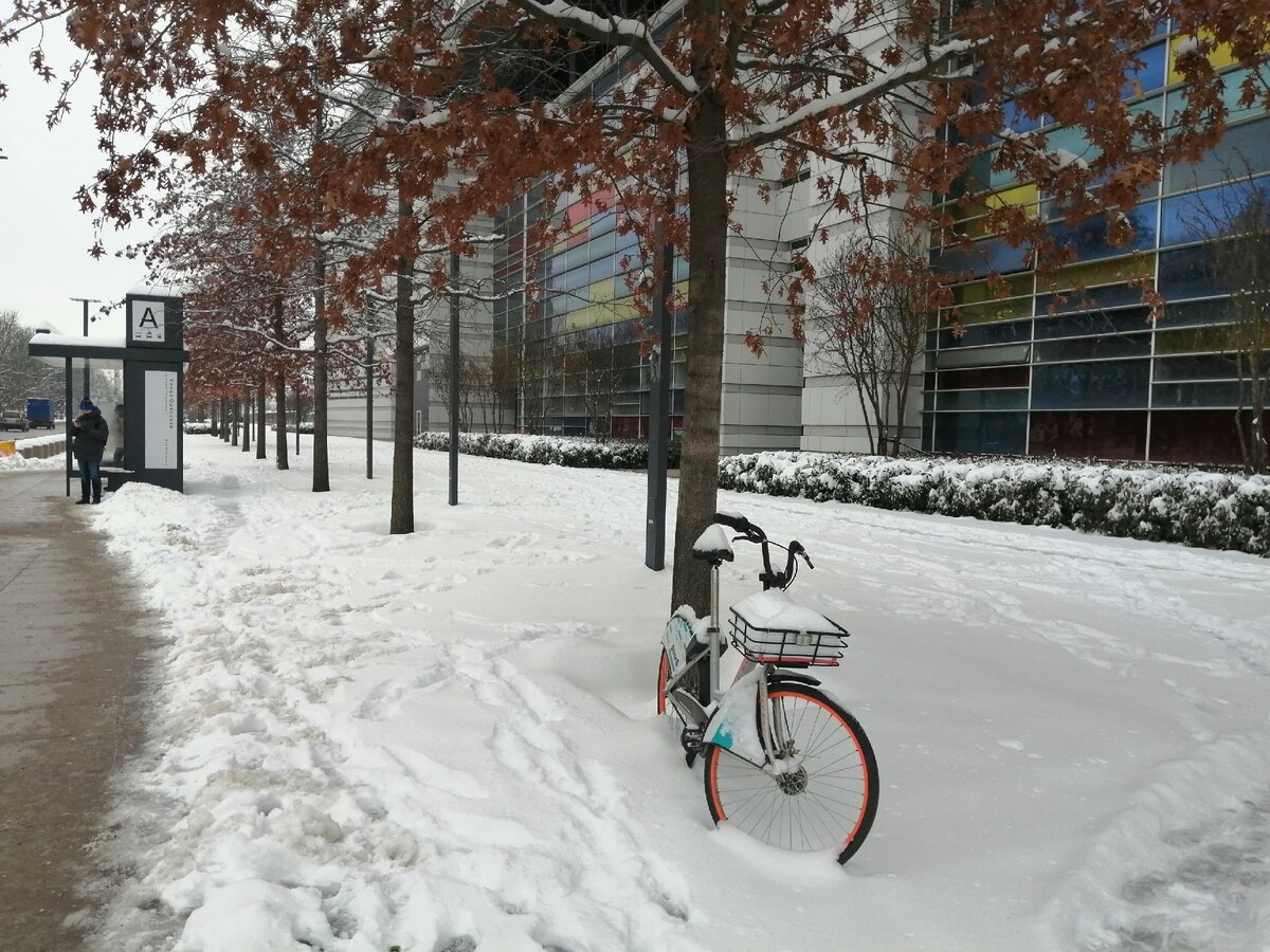 Улица Красная возле стадиона Динамо. 