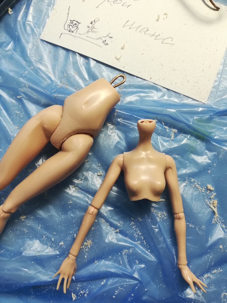 опилила грудную клетку и сделала нужную форму и сделала петельку для грудного шарнира