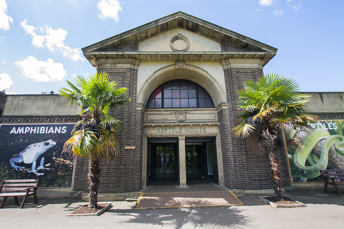 Лондонский зоопарк. Зал рептилий.