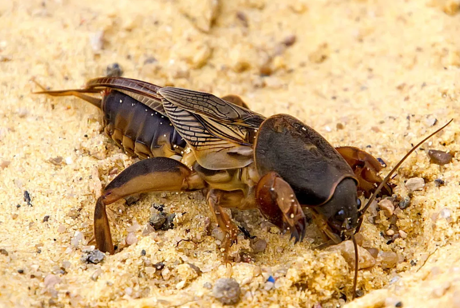 Взято с fotokto.ru